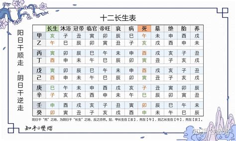 12 長生|十二長生詳解